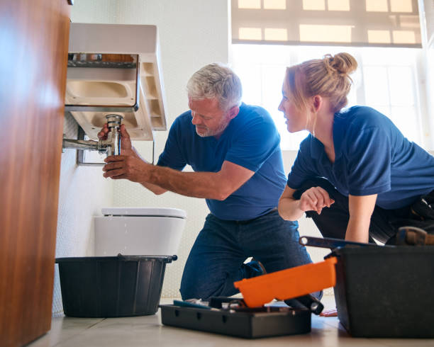 Best Plumbing Services Near Me  in Fergus Falls, MN